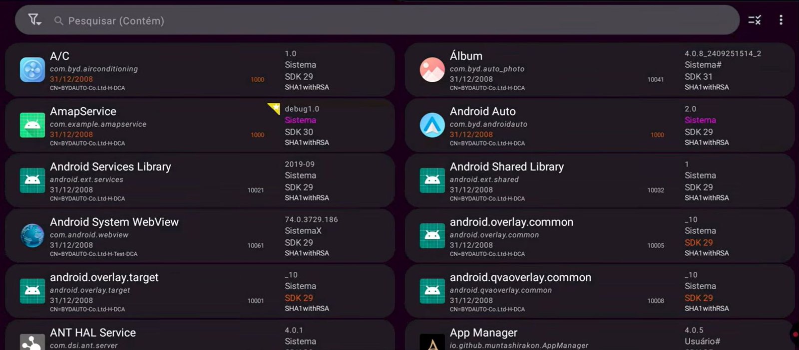 O App Manager lista tudo o que está instalado, inclusive os apps de sistema assinados pela BYD.